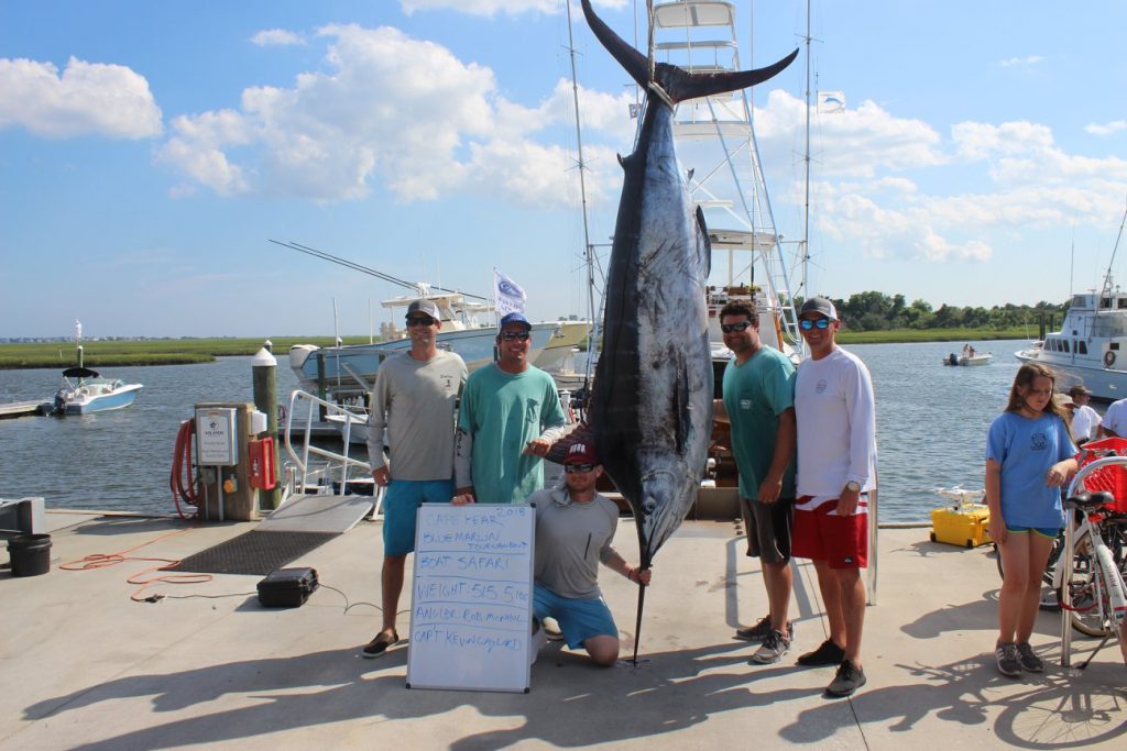 Team Safari with a 515.5lbs Blue Marlin