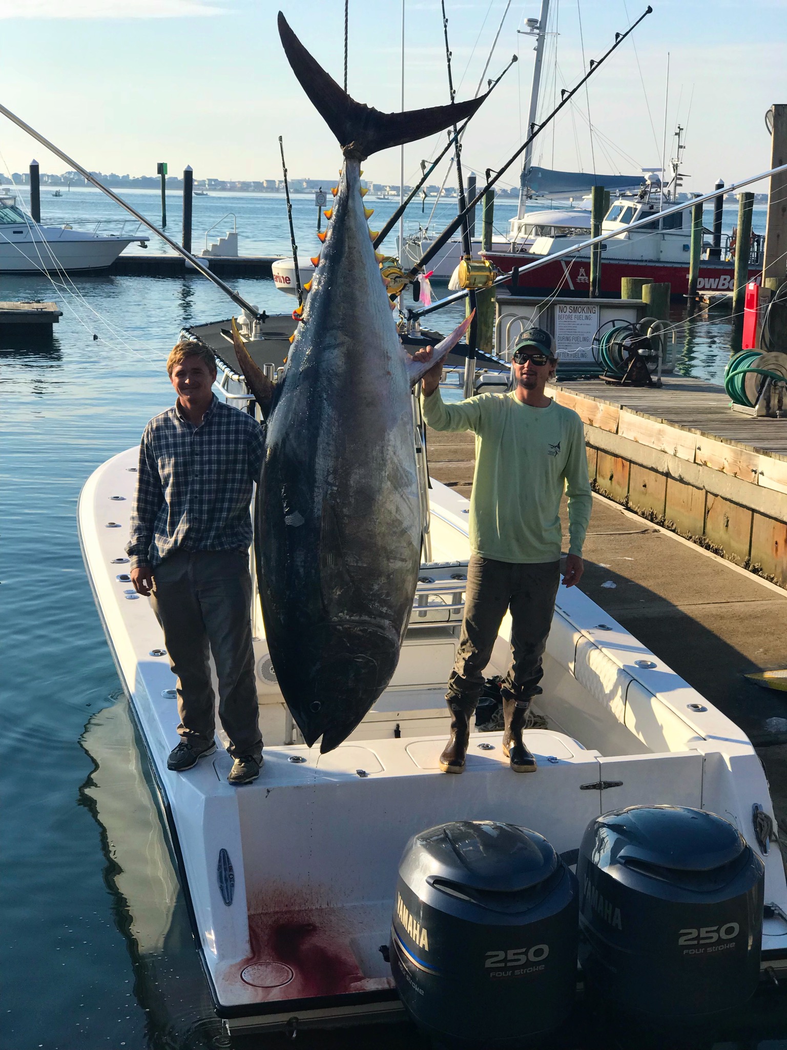 Giant Bluefin Tuna Stand-up Fishing Tackle & Techniques