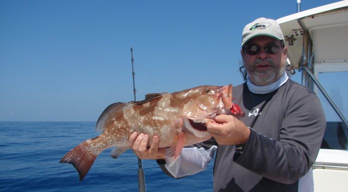 Jerry D - red grouper 2