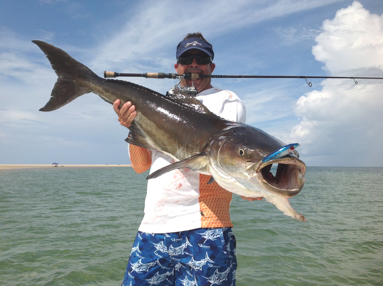 North Carolina Cobia and Grouper Seasons Reopen May 1